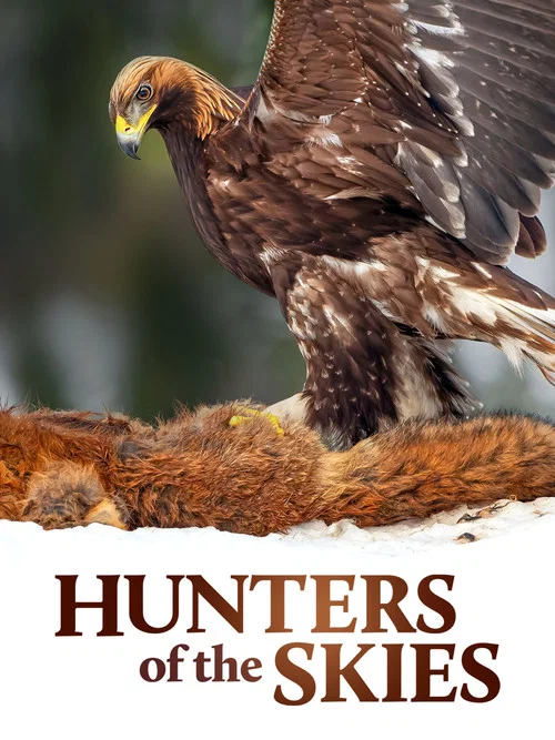 Hunters of the Skies постер
