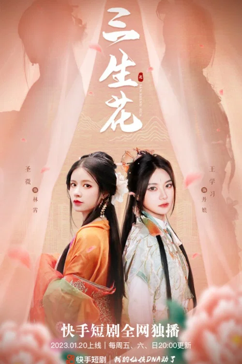 三生花 постер