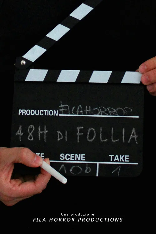 48H DI FOLLIA постер