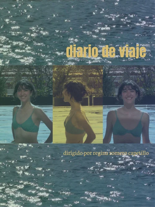 diario de viaje постер