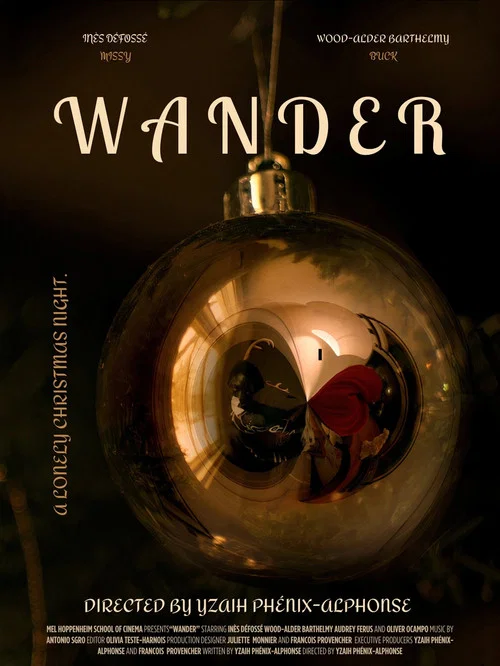 WANDER постер