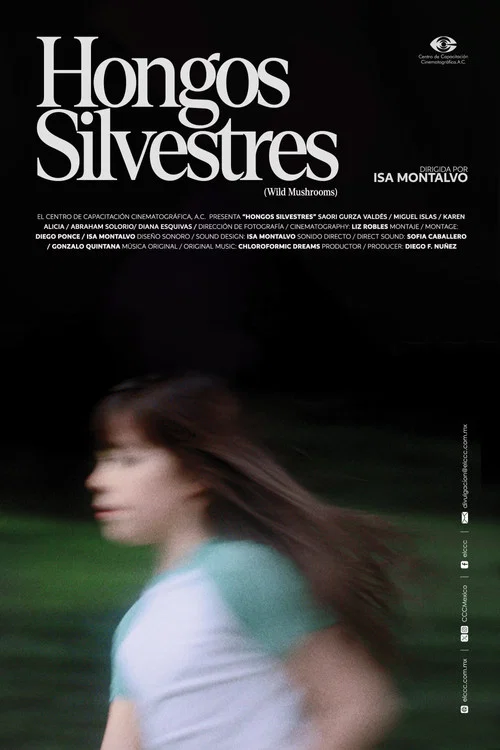 Hongos Silvestres постер