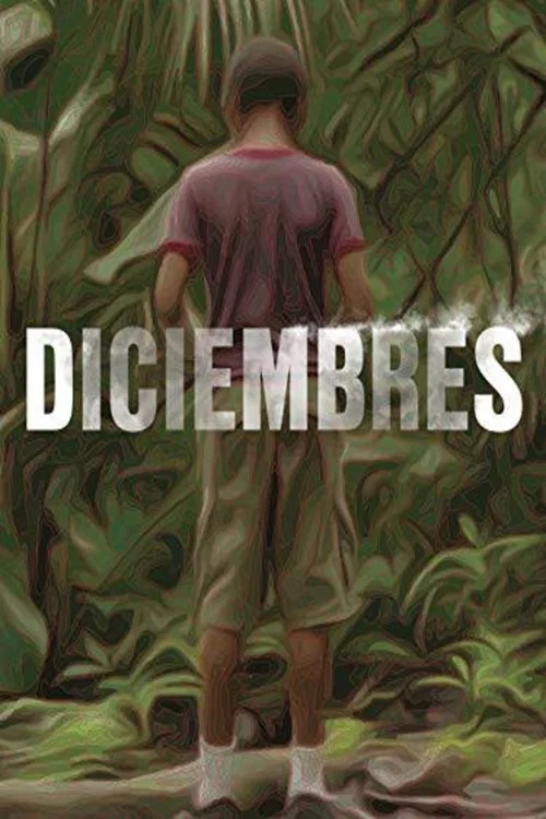 Diciembres постер