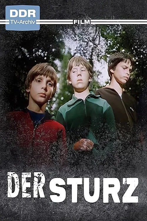 Der Sturz постер