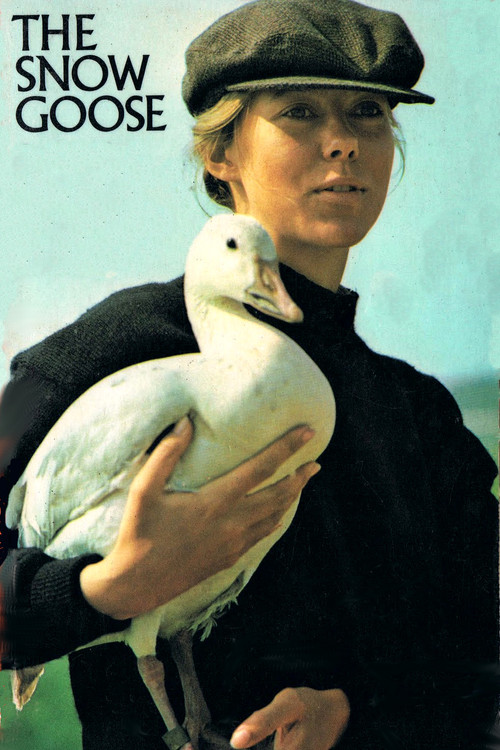 The Snow Goose постер
