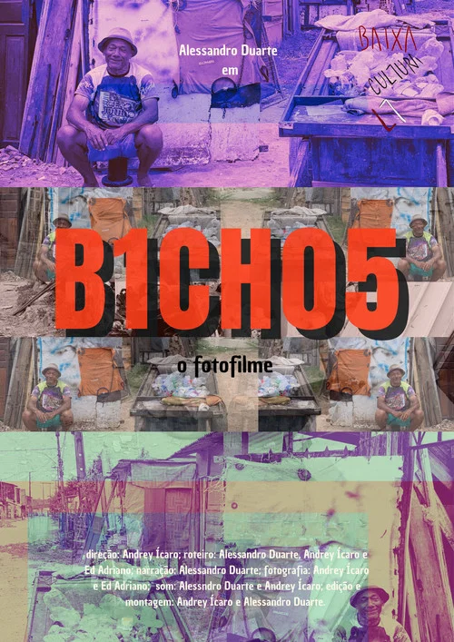 B1CH05 постер