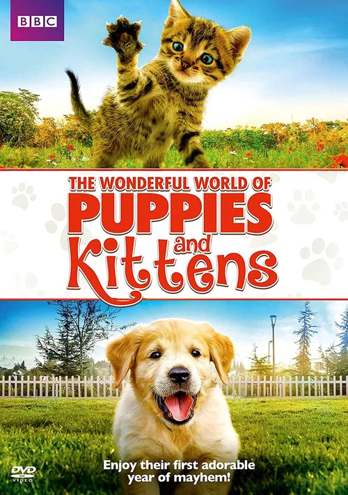 The Wonderful World of Puppies and Kittens постер
