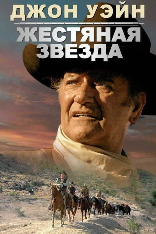 Жестяная звезда постер