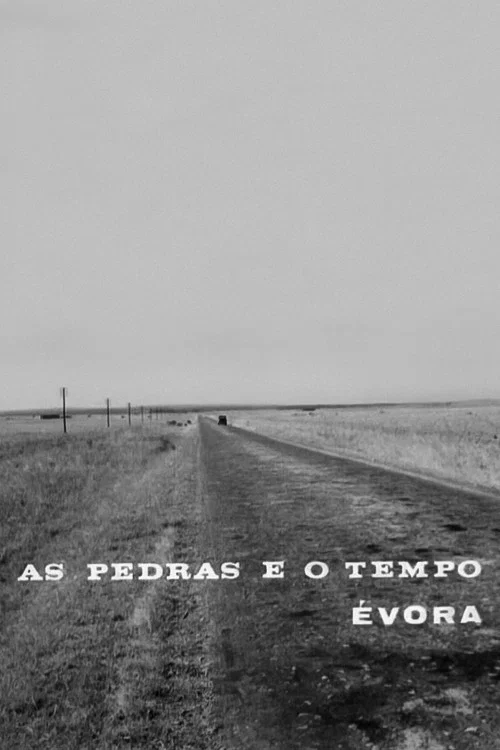 As Pedras e o Tempo постер