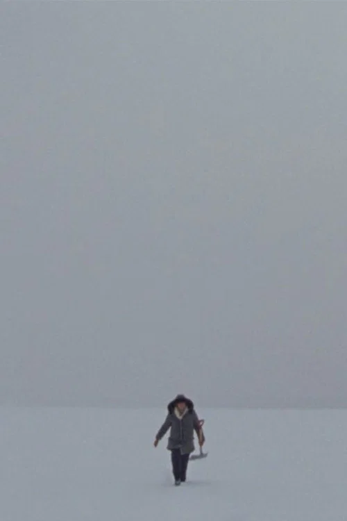 Lake постер
