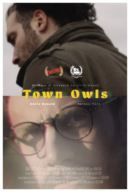 Town Owls постер