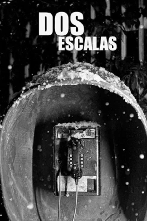Dos escalas постер
