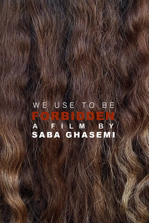 We Used To Be Forbidden постер
