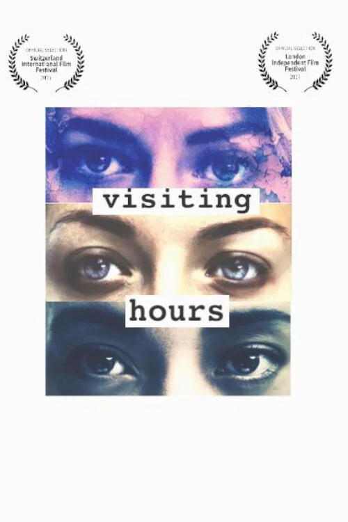 Visiting Hours постер