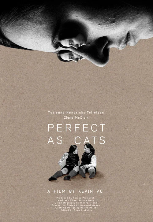 Perfect as Cats постер