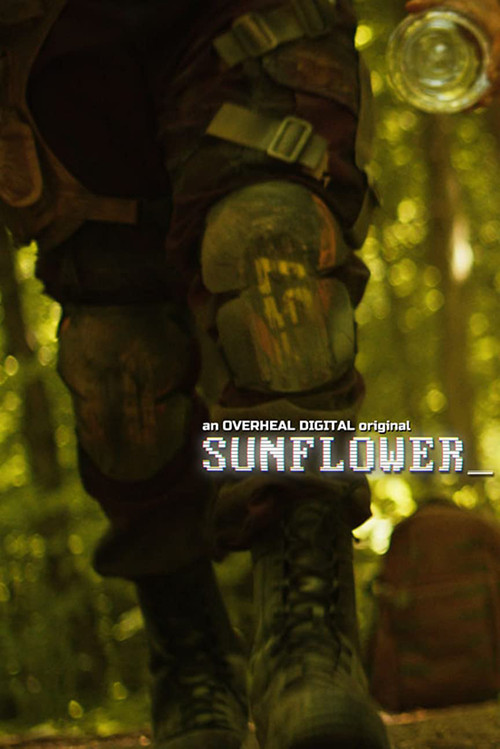 Sunflower постер