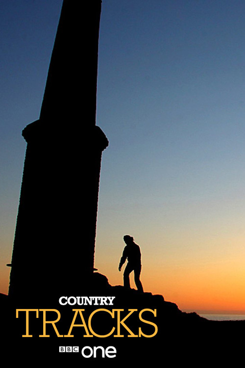 Country Tracks постер