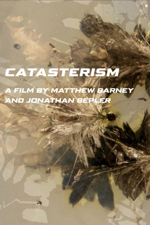 Catasterism постер