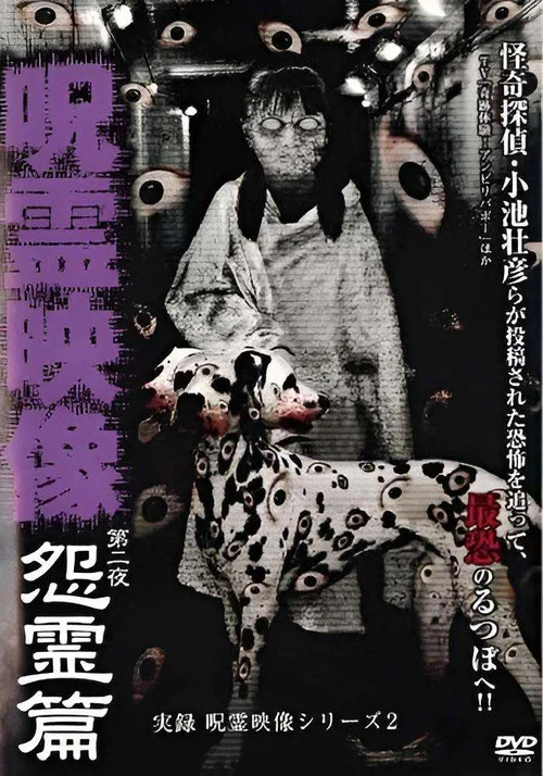 実録 呪霊映像シリーズ2 呪霊映像 第二夜 怨霊篇 постер