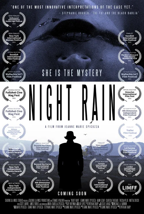 Night Rain постер