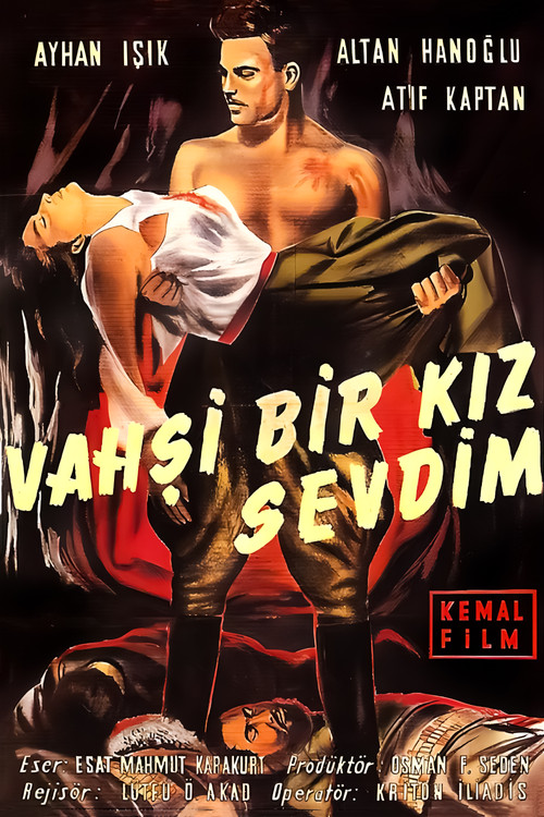 Vahşi Bir Kız Sevdim постер