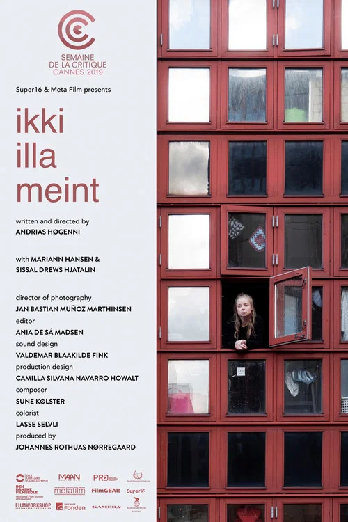 Ikki illa meint постер