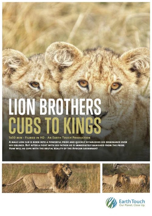 Lion Brothers: Cubs to Kings постер
