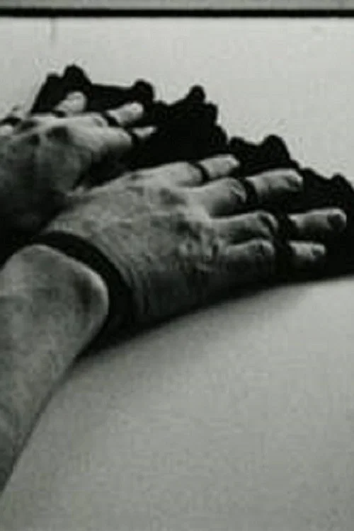 Fingerfächer постер