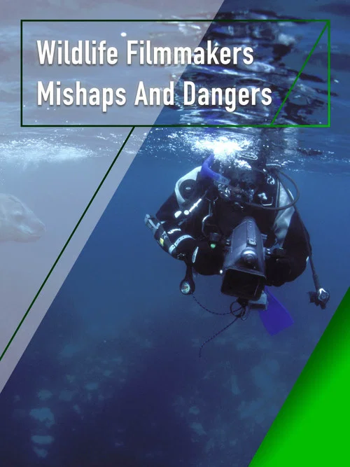 Wildlife Filmmakers: Mishaps and Dangers постер