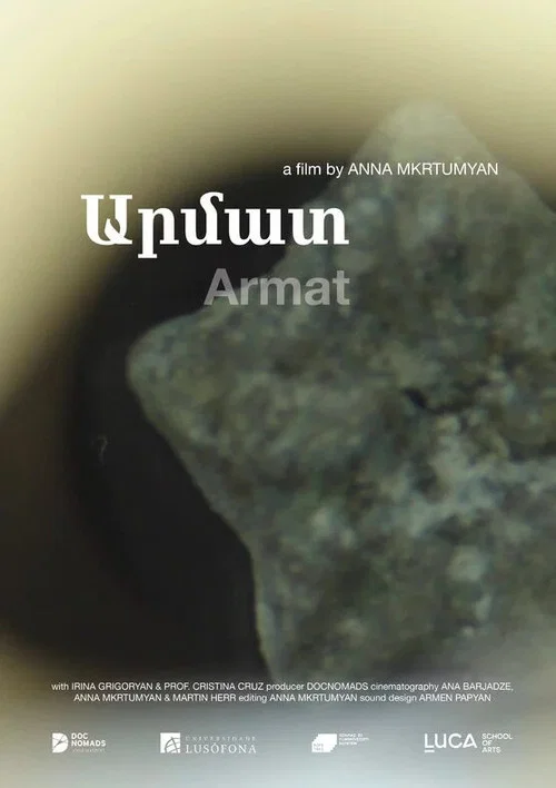 Արմատ постер