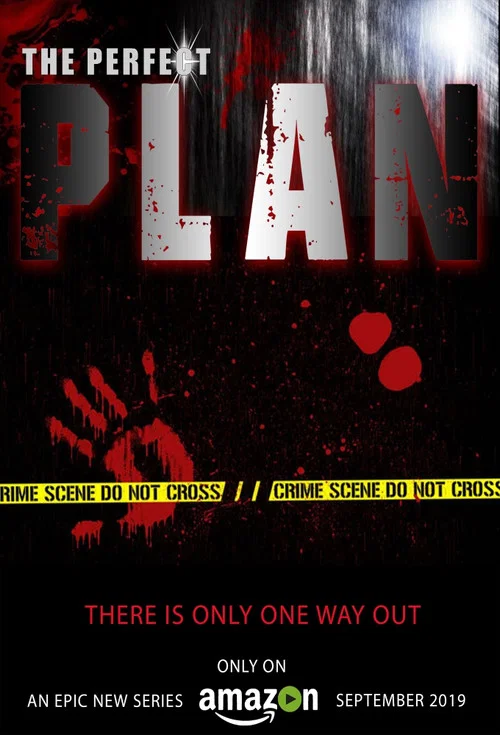 The Perfect Plan постер