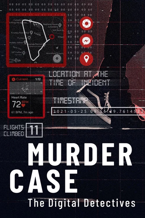Murder Case: The Digital Detectives постер