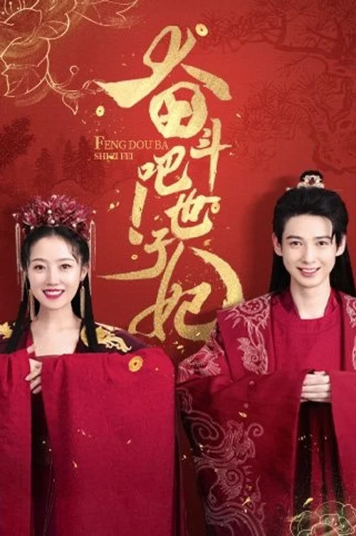 奋斗吧！世子妃 постер