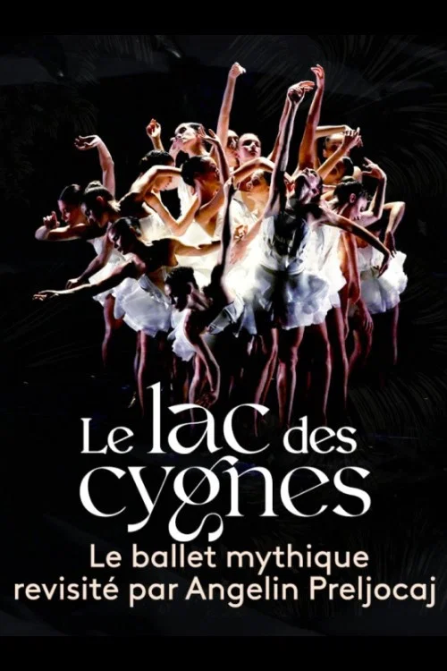 Le lac des cygnes au théâtre national de Chaillot постер