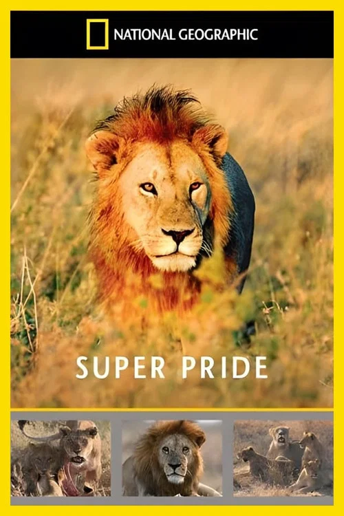 Superpride постер