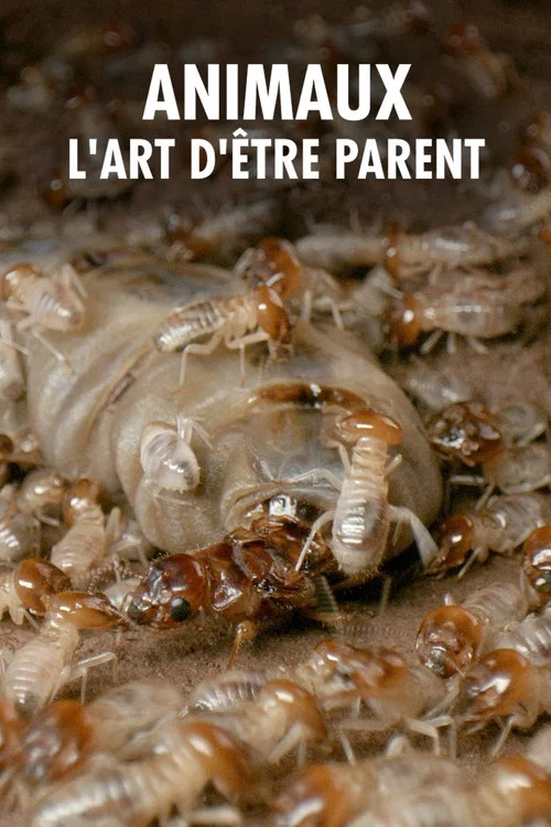 Wilde Eltern постер