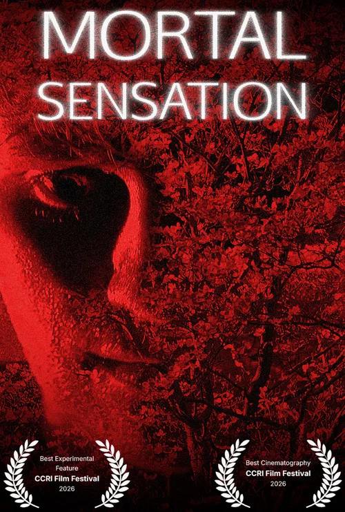 Mortal Sensation постер