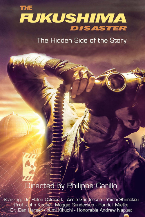 The Fukushima Disaster: The Hidden Side of The Story постер