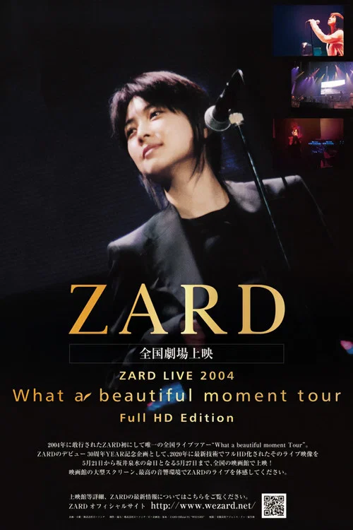 ZARD LIVE 2004“What a beautiful moment”（Full HD Edition） постер