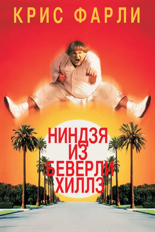 Ниндзя из Беверли Хиллз постер