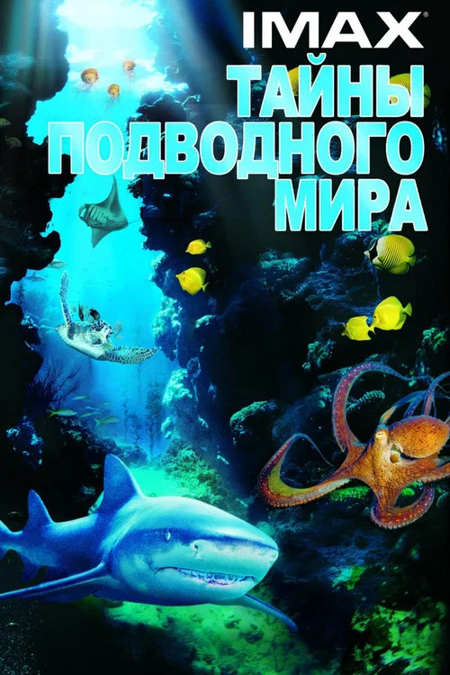 Тайны подводного мира постер