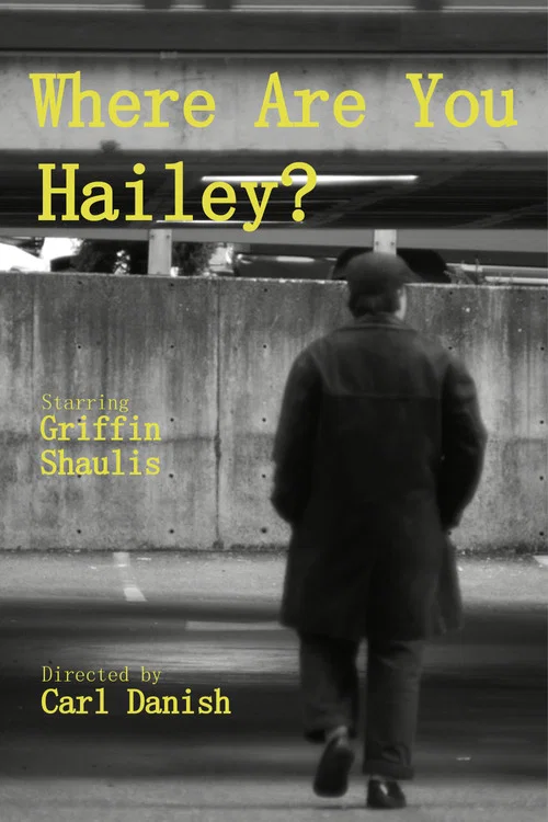 Where Are You Hailey? постер