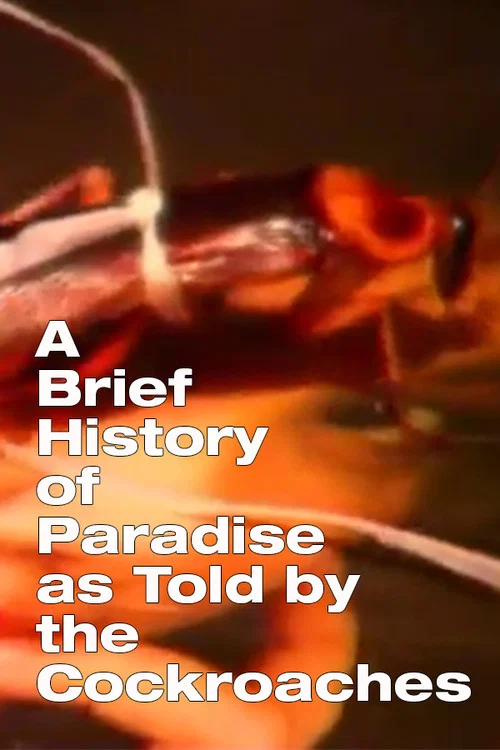 A Brief History of Paradise as Told by the Cockroaches постер