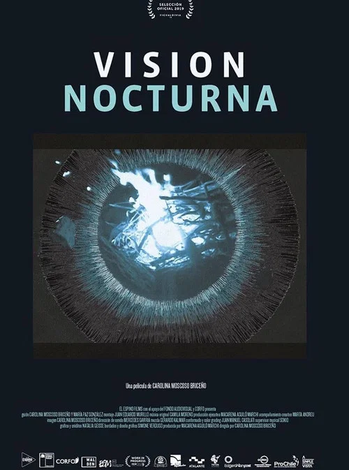 Vision nocturna постер