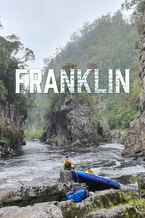 Franklin постер
