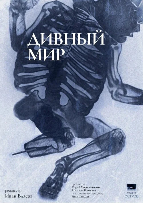 Дивный мир постер