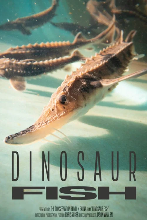 Dinosaur Fish постер
