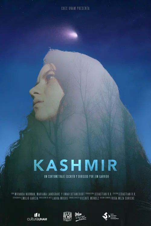 Kashmir постер