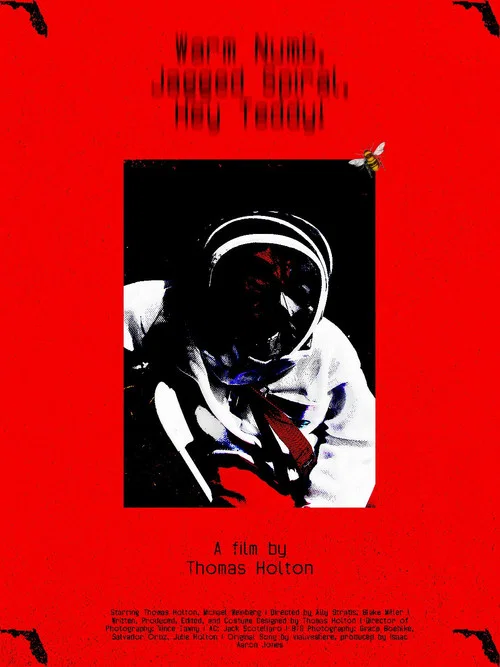 Warm Numb, Jagged Spiral, Hey Teddy! постер
