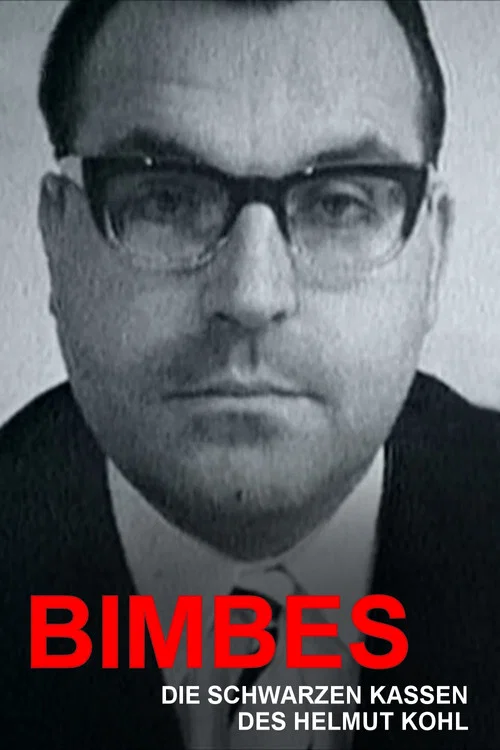 Bimbes: Die schwarzen Kassen des Helmut Kohl постер